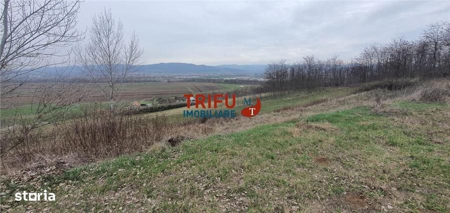 Spațiu comercial, în Ciugud