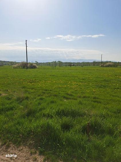 Teren de 550 mp, în Ștrand