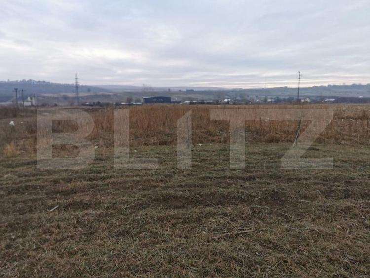 Teren de 5900 mp, în Pătrăuți