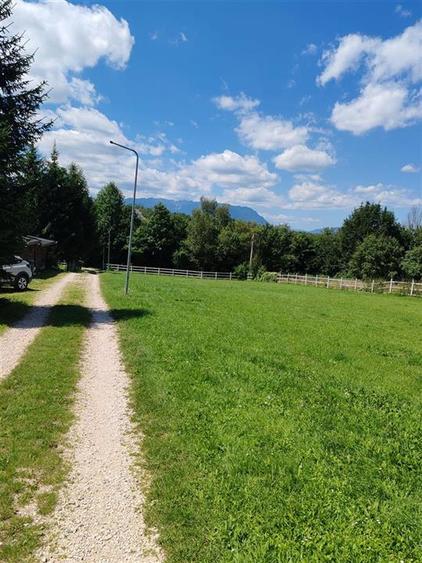 Teren Rasnov Glajarie 2000Mp Intravilan - 3