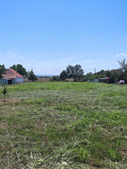 Teren de 2986 mp, în Butin