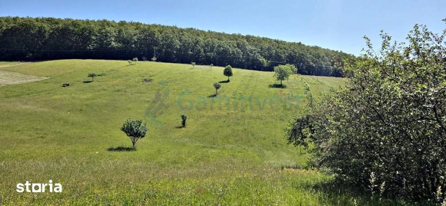 Casă cu 4 camere cu Teren 2670 Mp în Vârciorog