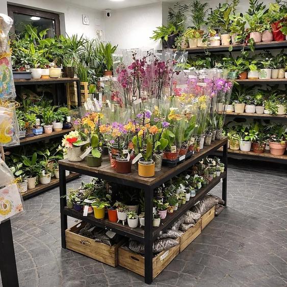 Spațiu comercial, de 70 mp, în Tineretului