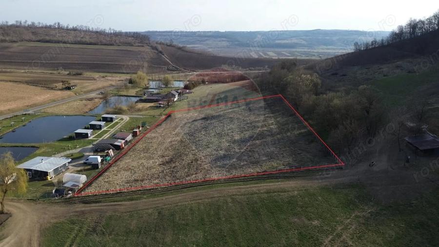 Teren de 7000 mp, în Hoghilag