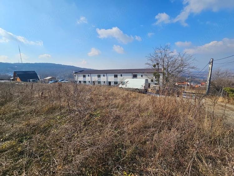 Teren de 3000 mp, în Bucium