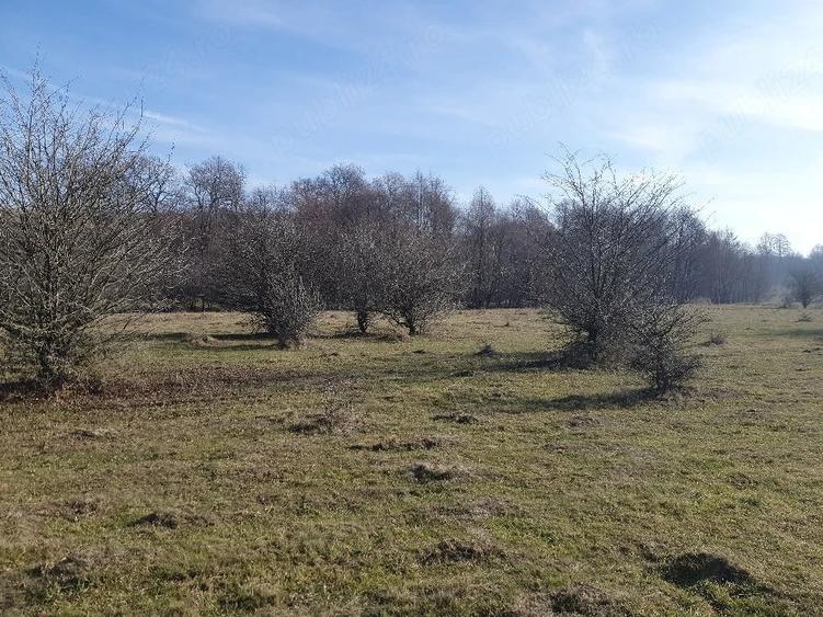 Teren de 4100 mp, în Vlădeni