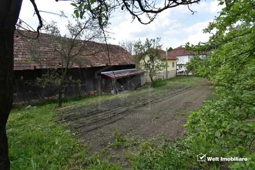 Casă cu Teren 1683 Mp în Băgara