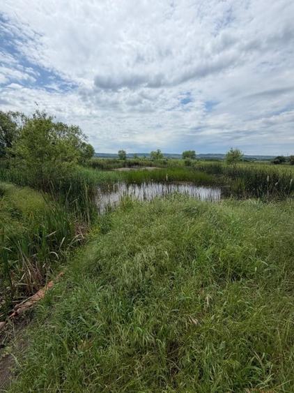 Teren Construcții de 6000 mp, în Filiași