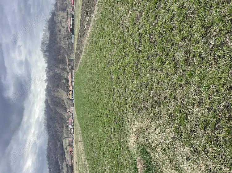 Teren de 3145 mp, în Mănăstirea Cașin