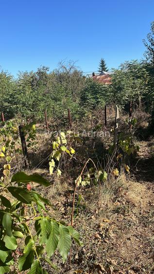 Casa cu teren 3.296 mp in Peris Ilfov Deschidere 23,81 m, potential parcelare la 30 km de Bucuresti
