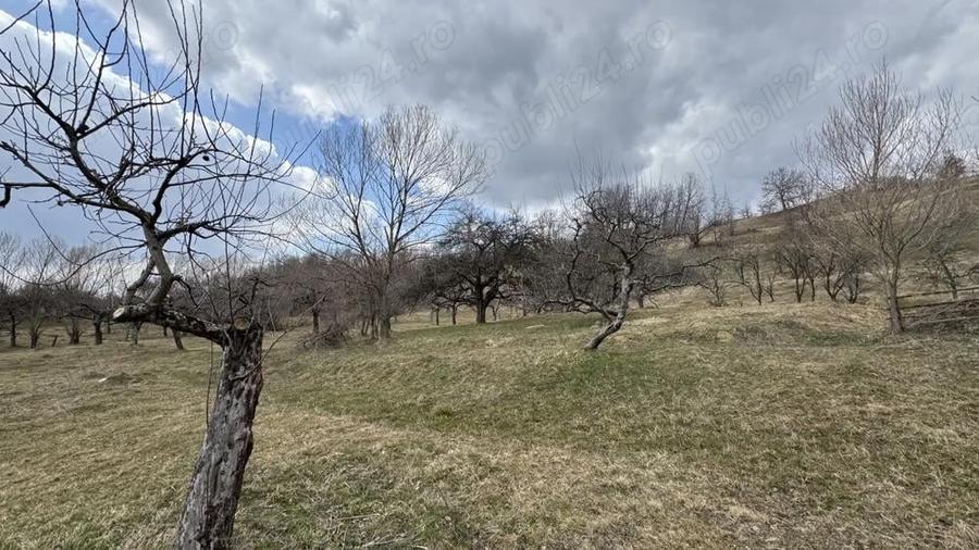 Teren în Micloșanii Mici