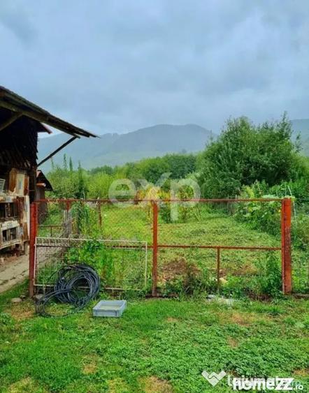 Casă cu 3 camere cu Teren 2400 Mp în Nucșoara