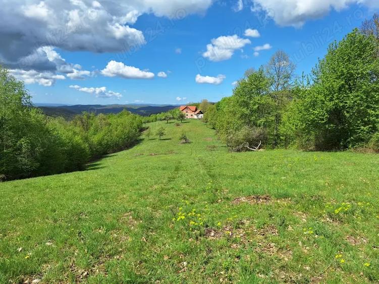 Teren de 46000 mp, în Slatina de Mureș