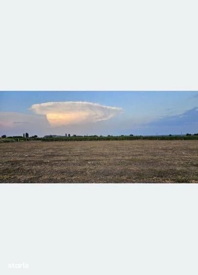 Teren de 12457 mp, în Vrancea