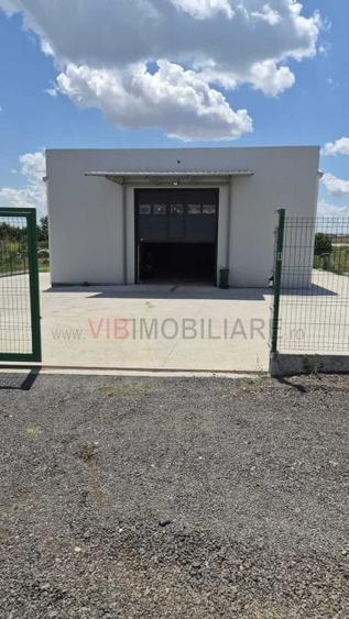 Hale de închiriat, proprietar persoană fizică, zona FNC - Bragadiru. - 3