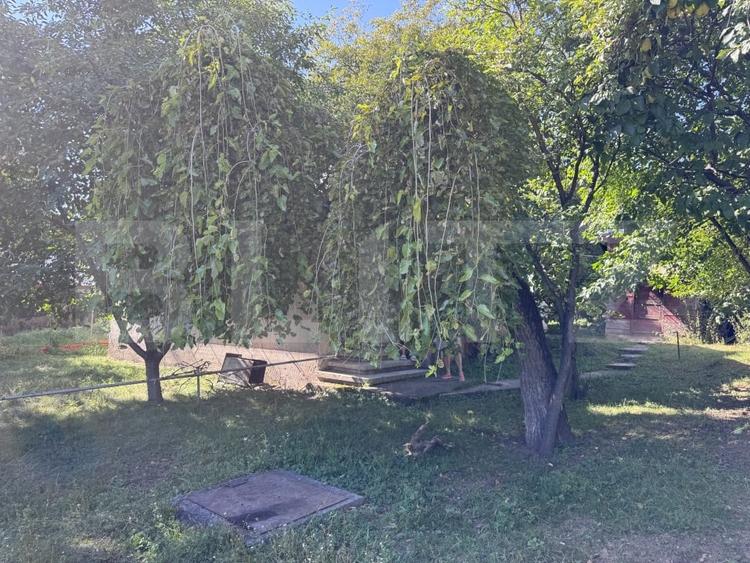 Teren Construcții intravilan de 2987 mp, în Cornu de Jos (Cornu)