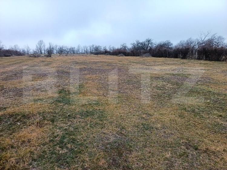 Teren Construcții intravilan de 2818 mp, în Blejoi