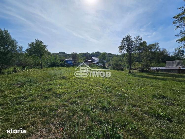 Ideal pentru investitie Vulcana de Sus - 5