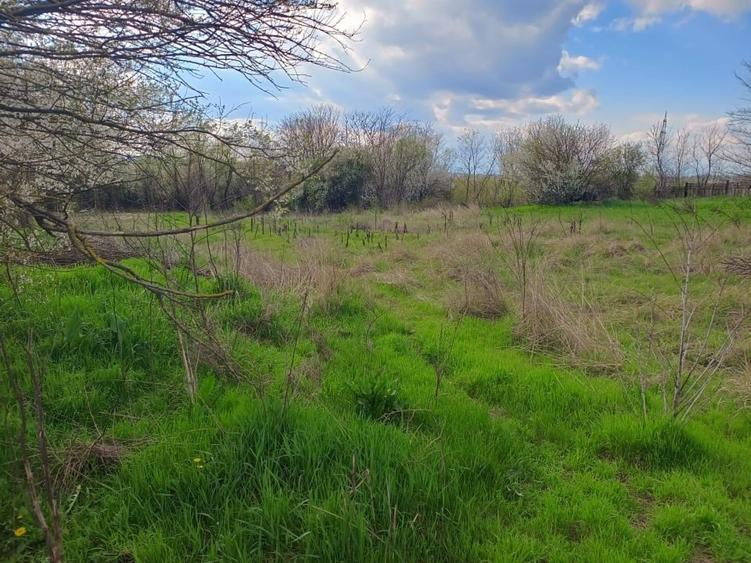 Teren agricol intravilan de 2648 mp, în Tânganu