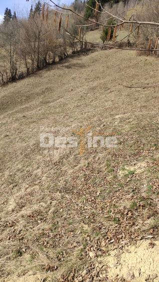 Teren agricol extravilan de 5000 mp, în Rucăr