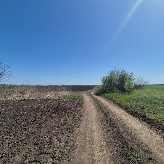 Teren în Grădiștea