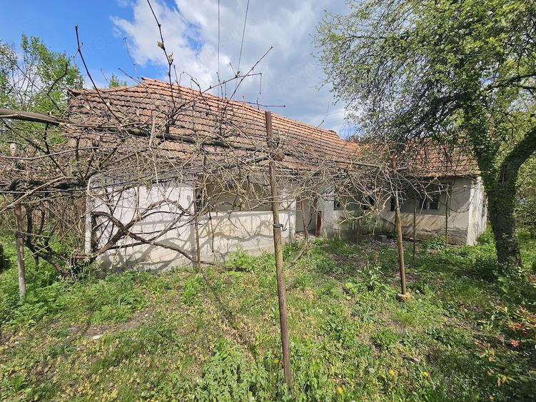 Casa si Teren - Zam - 10