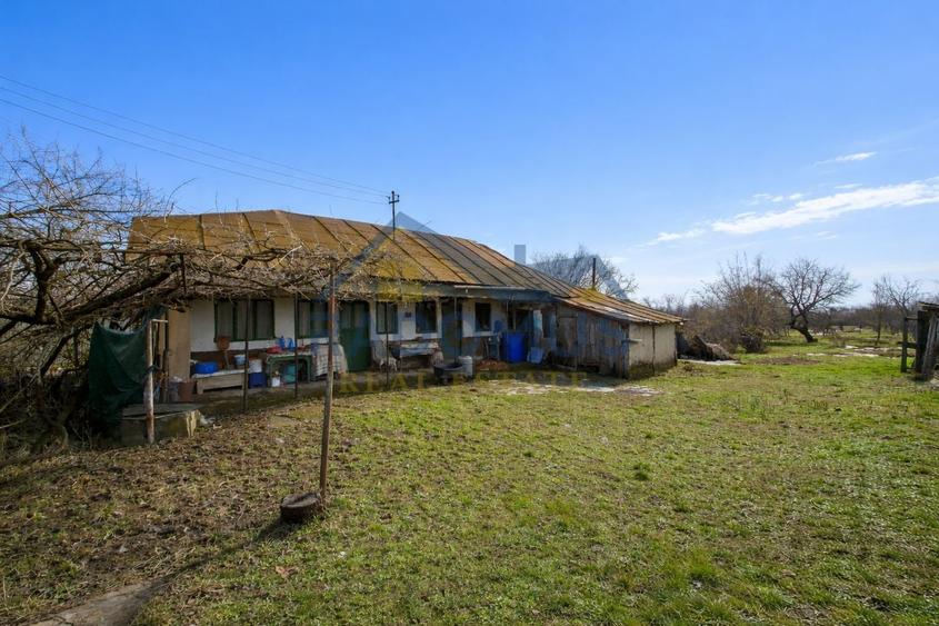 Teren Construcții intravilan de 3600 mp, în Cocoșești