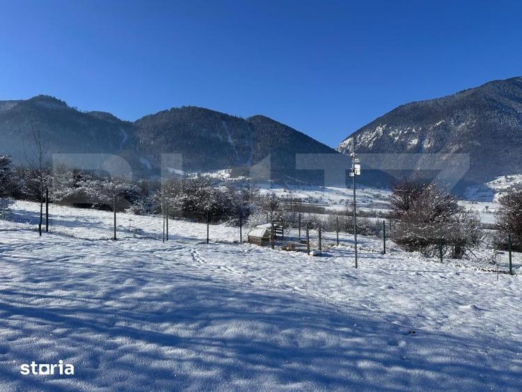 Teren de 1000 mp, în Tohănița