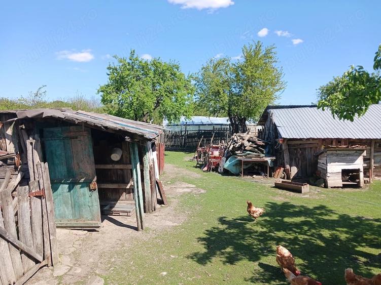Casă cu Teren 1900 Mp în Central