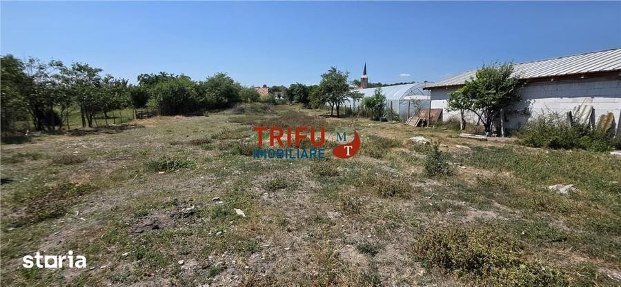 Casă cu 3 camere cu Teren 2398 Mp în Cricău