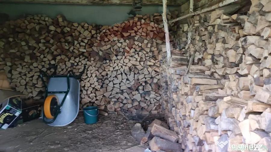 Casă cu 4 camere cu Teren 11769 Mp în Munteni