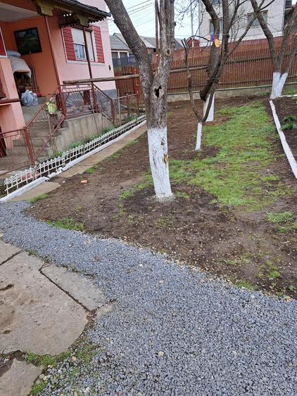Casă cu 6 camere cu Teren 4000 Mp în Sărmaș