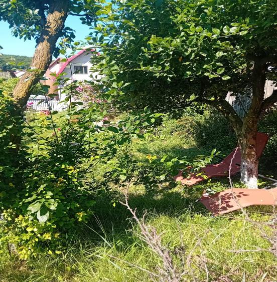 Casă cu 4 camere cu Teren 1100 Mp în Mănăștur