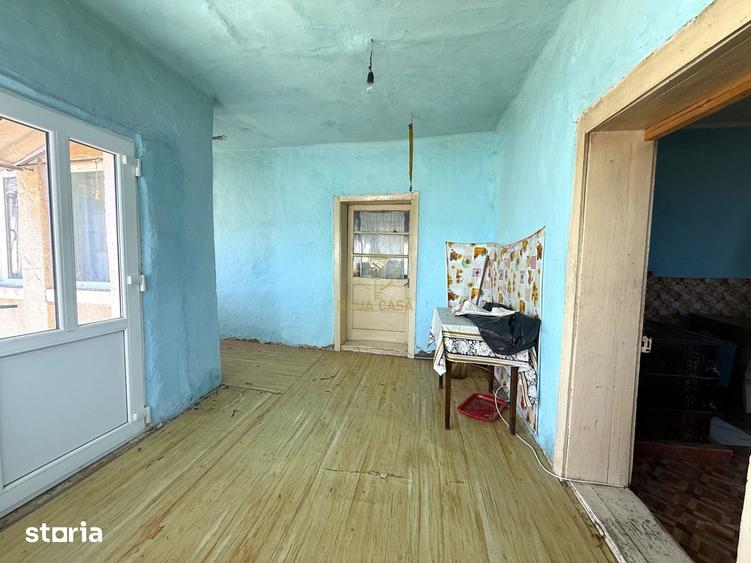 Casă cu 3 camere cu Teren 5393 Mp în Viile Satu Mare