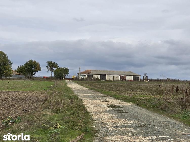 Comuna Amzacea- sat G.Scari?oreanu -Ferma zootehnica , teren 5,1ha - 10