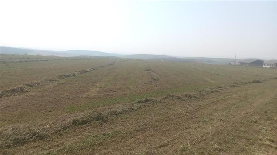 Teren Construcții intravilan de 10000 mp, în Rediu
