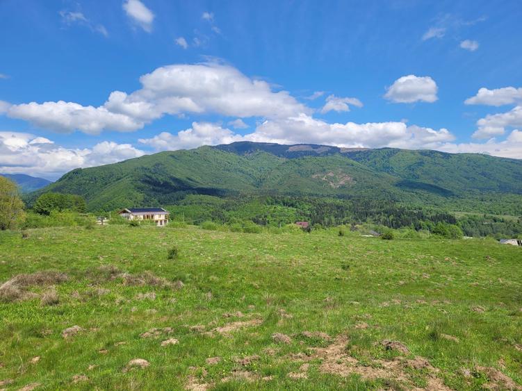 teren de vanzare Slatina ,Comuna Nucsoara - 3