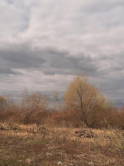 Teren de 2000 mp, în Sânnicolau Român