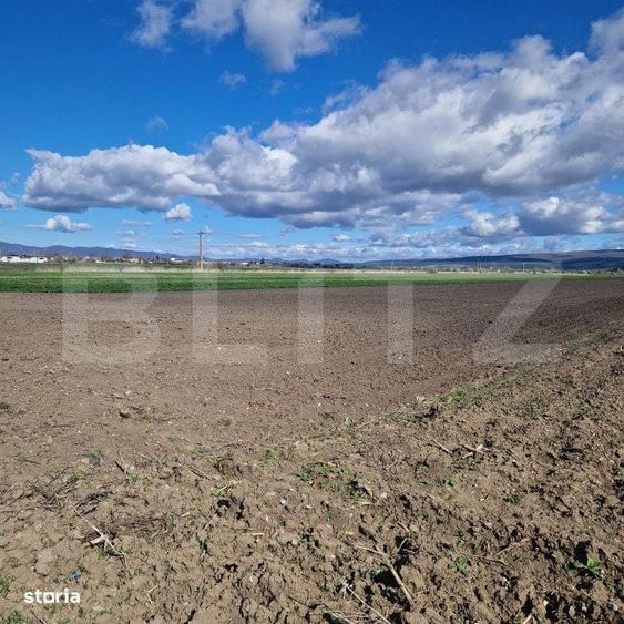 Teren Extravilan 15000 mp- parcelat in 3 loturi Bod- 5000 mp fiecare p - 4