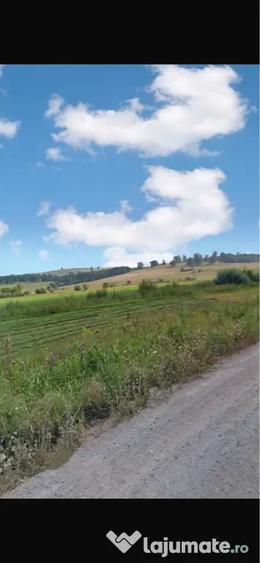Teren de 28000 mp, în Șoarș