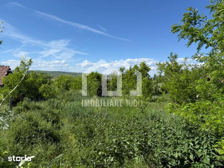 Teren intravilan construibil 1.750 mp | Jucu de Sus - 3