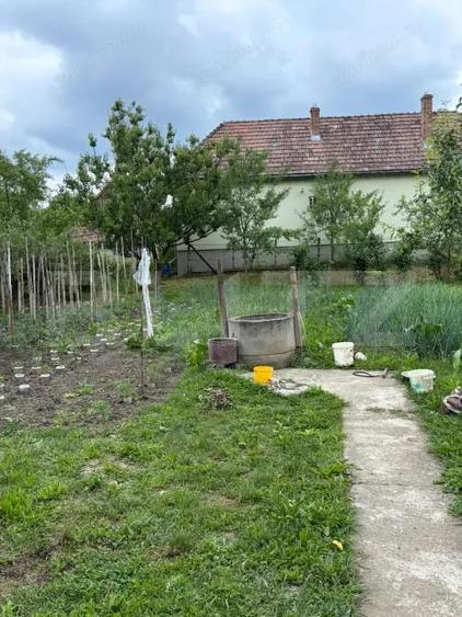 Casă cu 3 camere cu Teren 798 Mp în Cornești (Crăciunești)