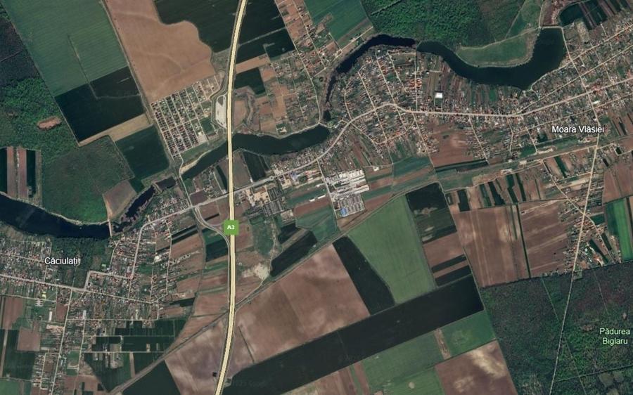 Teren Construcții intravilan de 90000 mp, în Moara Vlăsiei