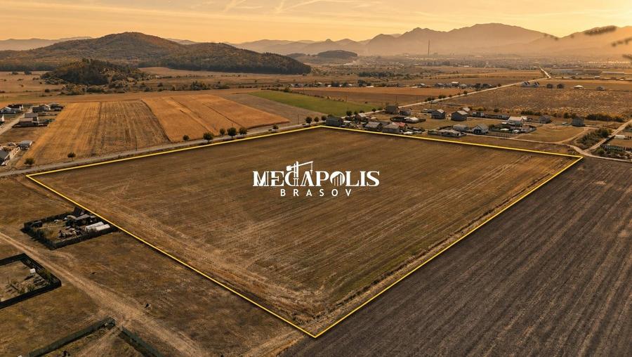 Teren agricol extravilan de 55000 mp, în Bod