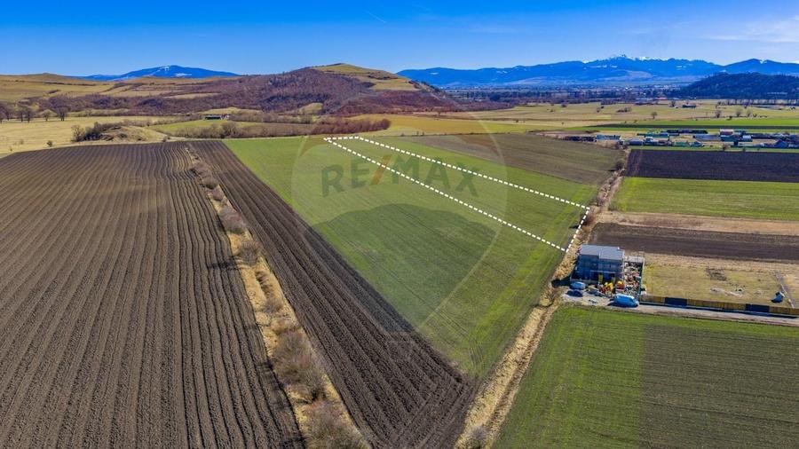 Teren agricol extravilan de 21893 mp, în Bod