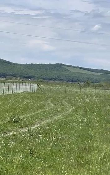 Teren de 14000 mp, în Chintelnic
