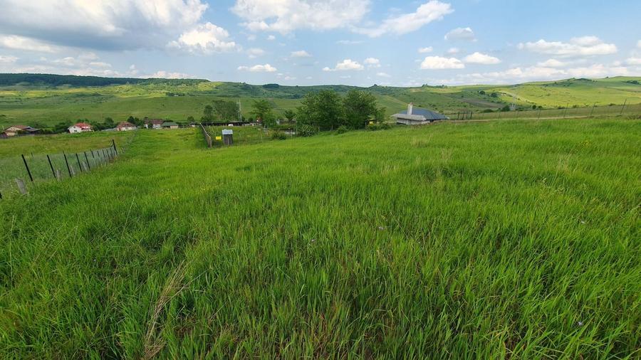 Vand teren extravilan cu CF, in Salistea Veche - 4