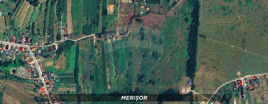 Teren Construcții intravilan de 10000 mp, în Merișor