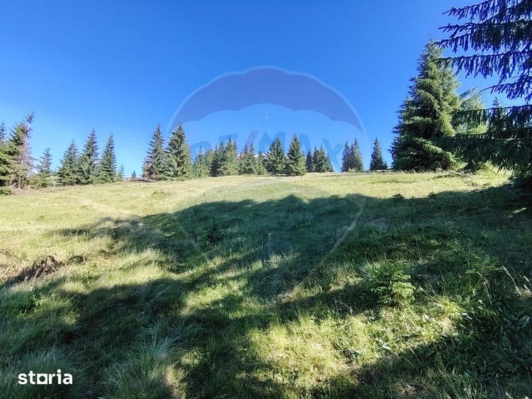 Teren de 47732 mp, în Panaci