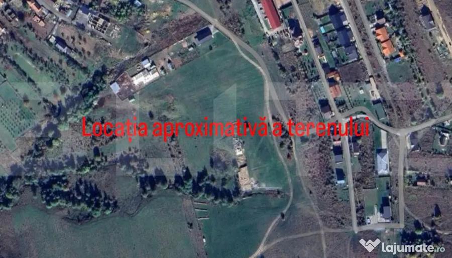 Teren de 8000 mp, în Ciurila